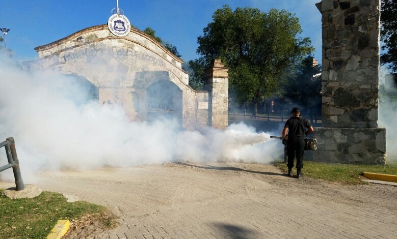 fumigaciones 1 - Diario Resumen de la región