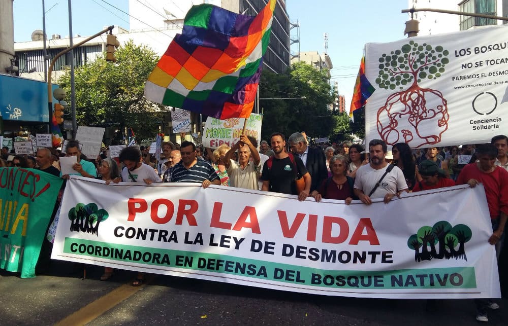Bosque Nativo 1 - Diario Resumen de la región