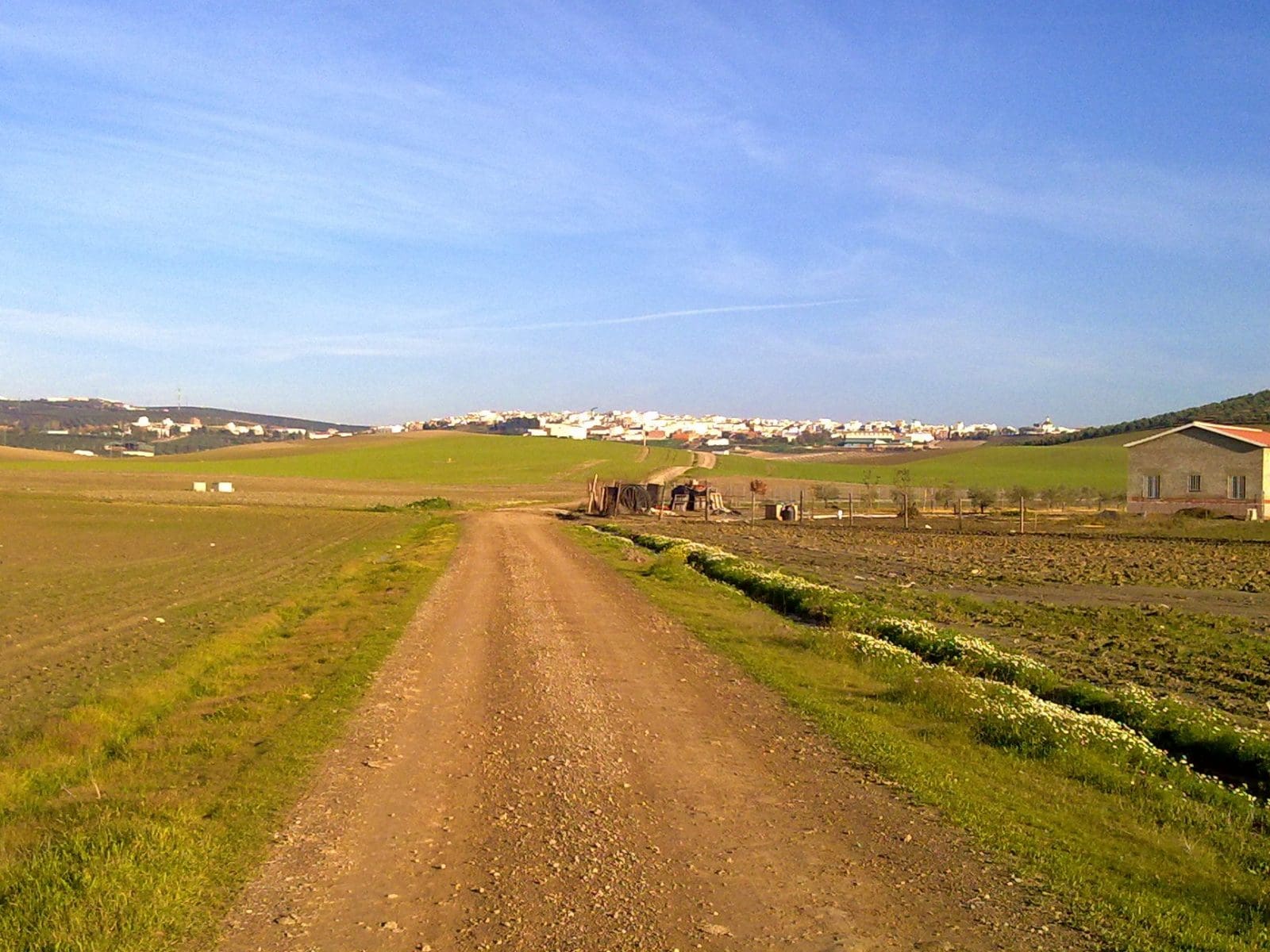 Camino de campo 1 - Diario Resumen de la región
