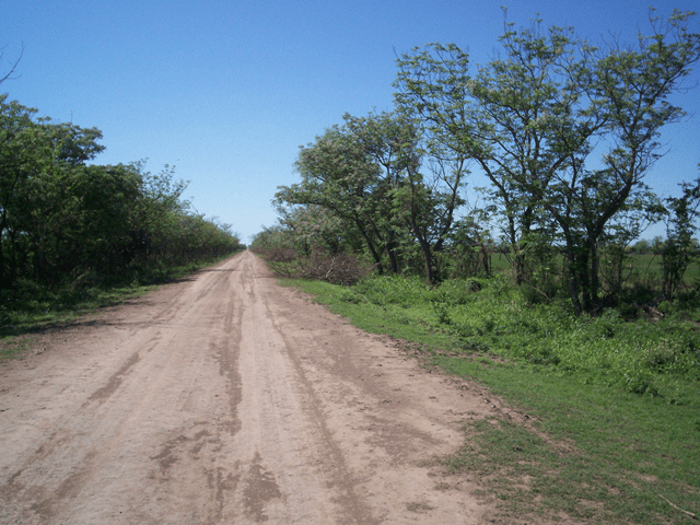 Camino de campo uno 1 - Diario Resumen de la región