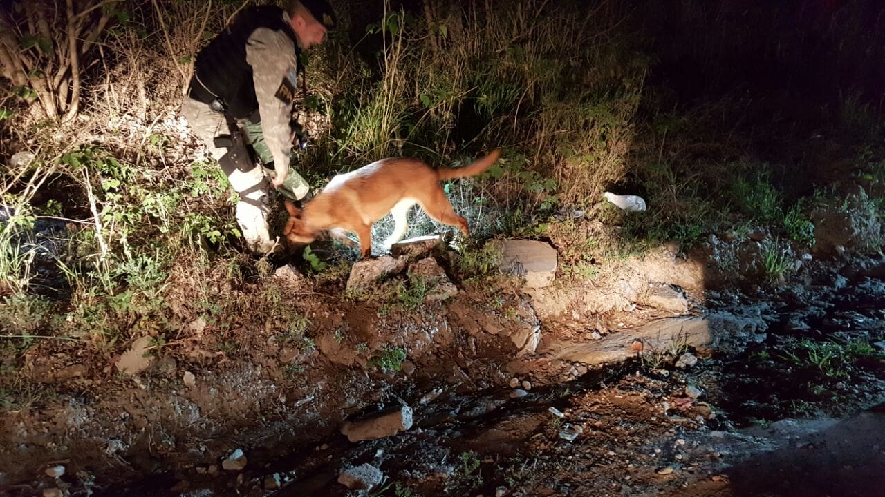 WhatsApp Image 2017 03 03 at 20.04.55 1 - Diario Resumen de la región