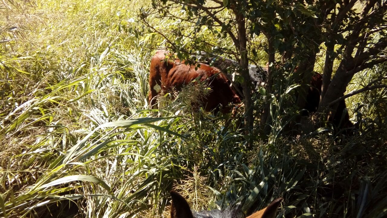 WhatsApp Image 2017 03 05 at 07.58.31 1 1 - Diario Resumen de la región