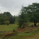 WhatsApp Image 2017 03 28 at 19.13.58 1 1 - Diario Resumen de la región