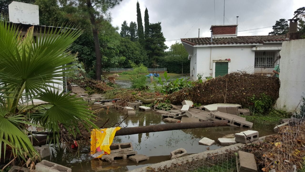 WhatsApp Image 2017 03 28 at 19.13.58 2 - Diario Resumen de la región