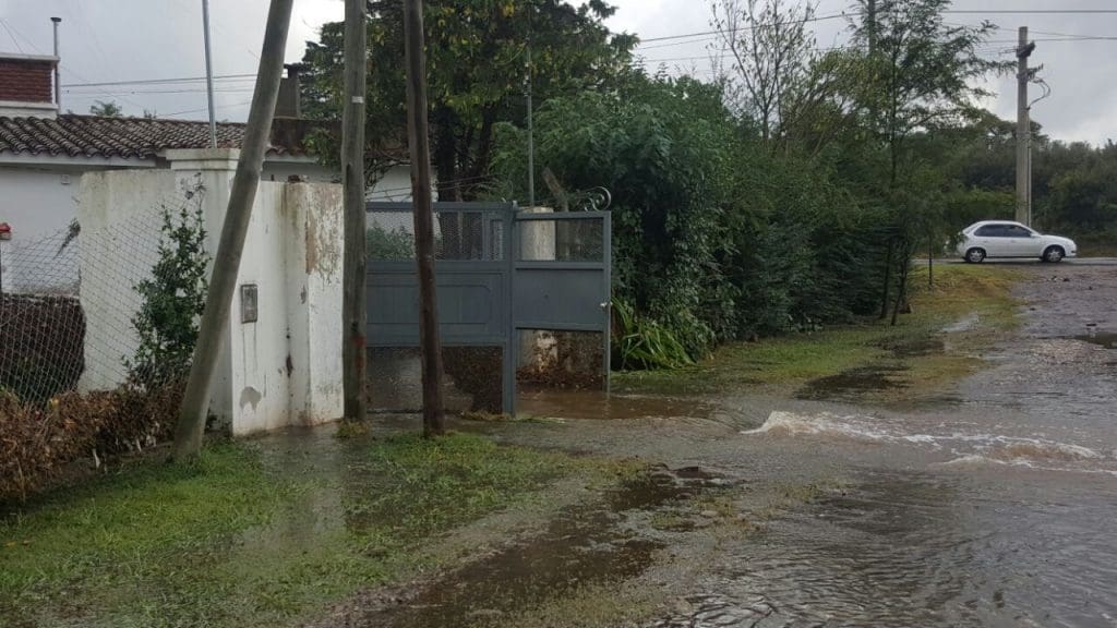 WhatsApp Image 2017 03 28 at 19.14.04 1 1 - Diario Resumen de la región