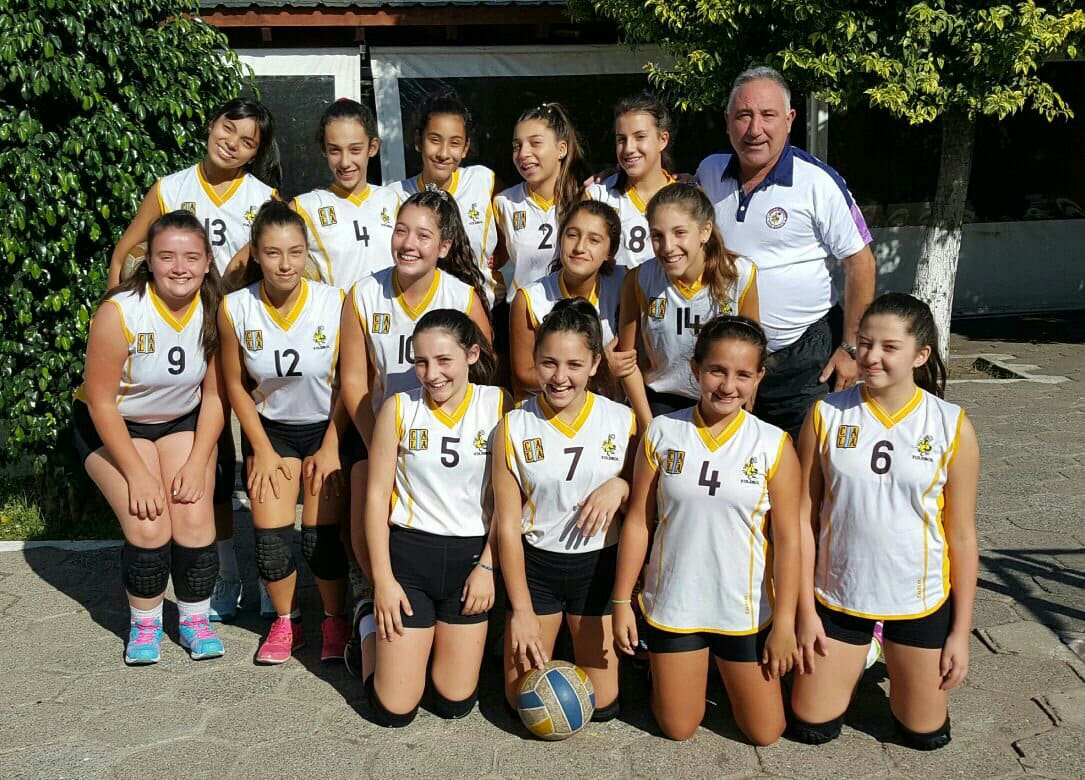 voley 1 - Diario Resumen de la región