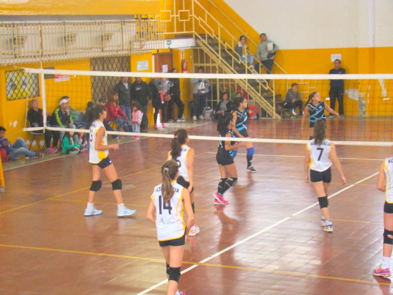 666 VOLEYBOL 1 - Diario Resumen de la región