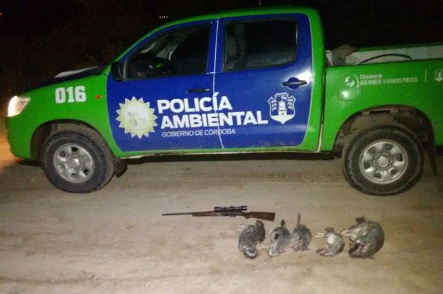 Cazador furtivo 1 - Diario Resumen de la región