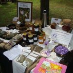 WhatsApp Image 2017 03 31 at 12.53.05 2 - Diario Resumen de la región