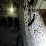 WhatsApp Image 2017 04 02 at 05.51.06 1 - Diario Resumen de la región