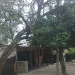 WhatsApp Image 2017 04 08 at 14.28.29 1 - Diario Resumen de la región