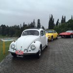 WhatsApp Image 2017 04 08 at 14.31.46 1 1 - Diario Resumen de la región