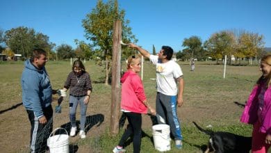 ayudando 1 1 - Diario Resumen de la región