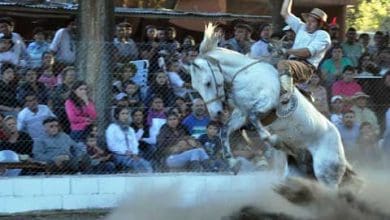 la destreza de los jinetes en el 30 fogon gaucho 1 - Diario Resumen de la región