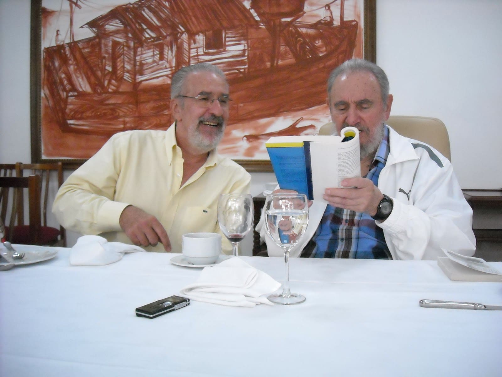 FIDEL AB Nov. 24 2010 1 - Diario Resumen de la región