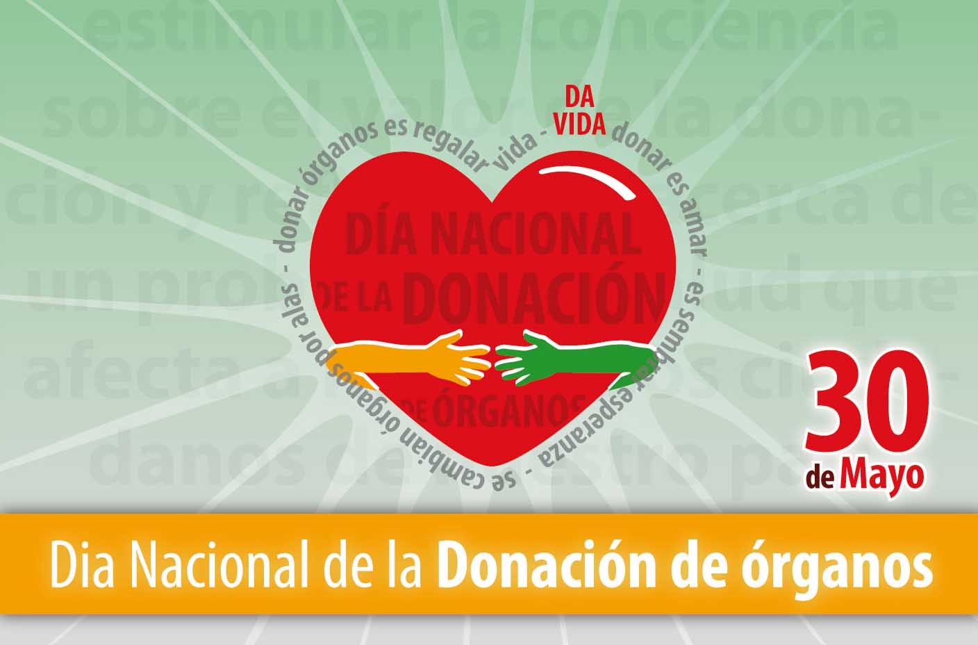 donacion de organos 1 - Diario Resumen de la región