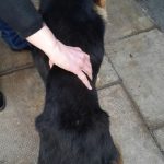 ADMA DOS - Diario Resumen de la región