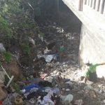1576cb97 782b 435d bbf4 c973a9c8a359 - Diario Resumen de la región