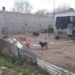 20170811 102443 - Diario Resumen de la región