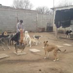 20170811 1033190 - Diario Resumen de la región