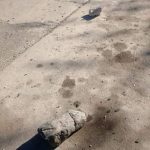 AUTO D - Diario Resumen de la región