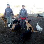 Perros 10 - Diario Resumen de la región