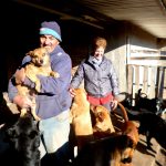 Perros 5 - Diario Resumen de la región