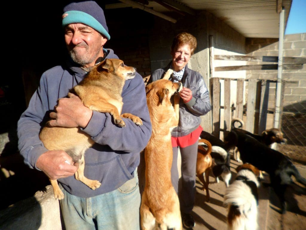 Perros 6 - Diario Resumen de la región
