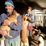 Perros 6 - Diario Resumen de la región