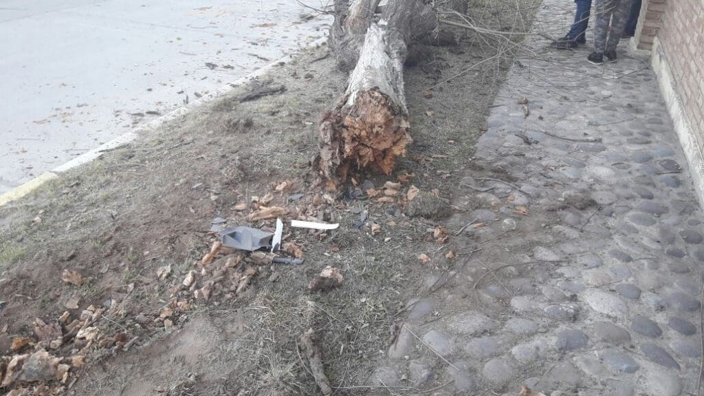 WhatsApp Image 2017 08 06 at 18.02.25 - Diario Resumen de la región