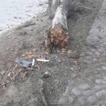 WhatsApp Image 2017 08 06 at 18.02.25 - Diario Resumen de la región