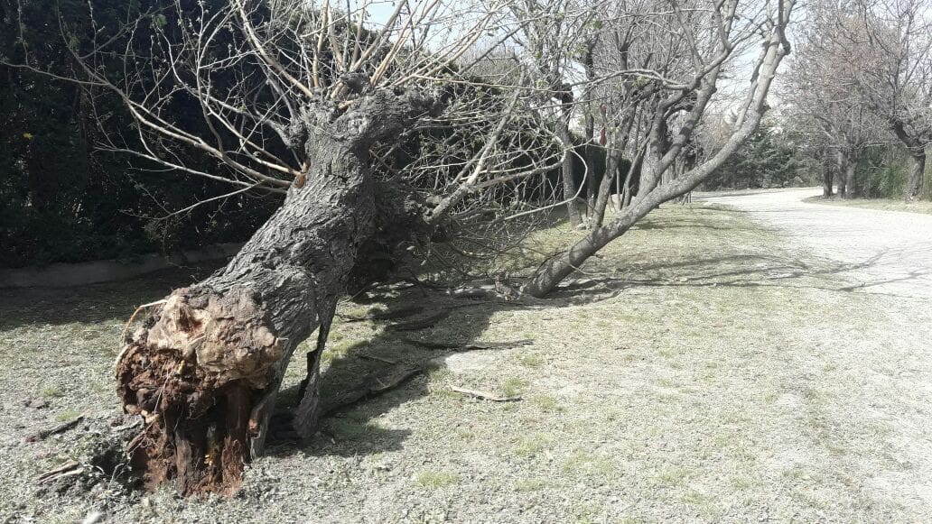 d36ed817 61f3 4715 9d55 948b73fea326 1 - Diario Resumen de la región