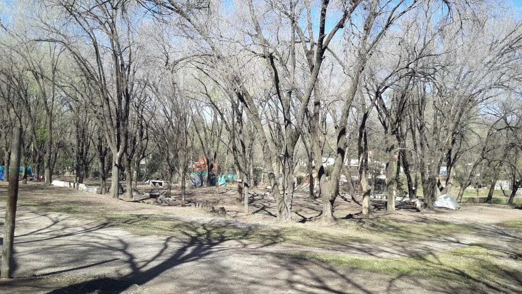 9eacdb69 4f2d 4836 8418 fbe438ac9d25 - Diario Resumen de la región