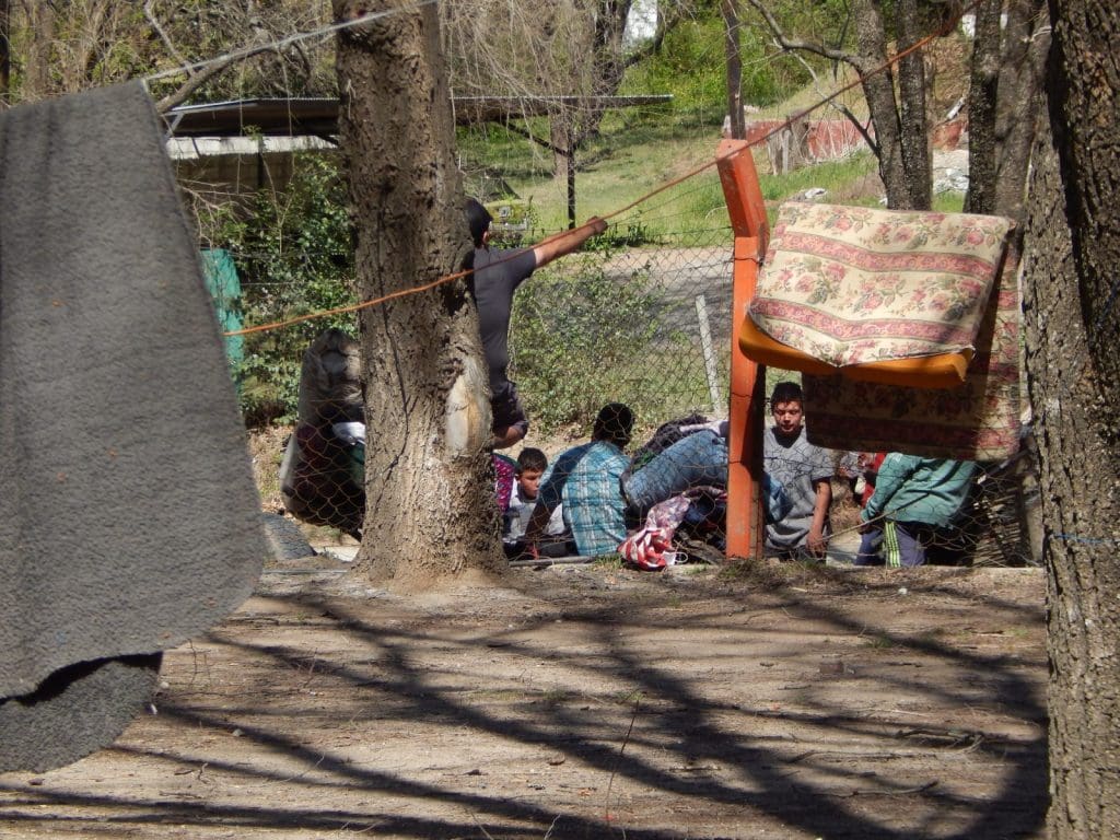 DSCN8333 - Diario Resumen de la región