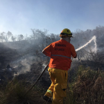 Incendio - Diario Resumen de la región