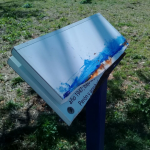 Vandalismo 1 - Diario Resumen de la región