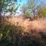 WhatsApp Image 2017 09 18 at 00.04.53 - Diario Resumen de la región