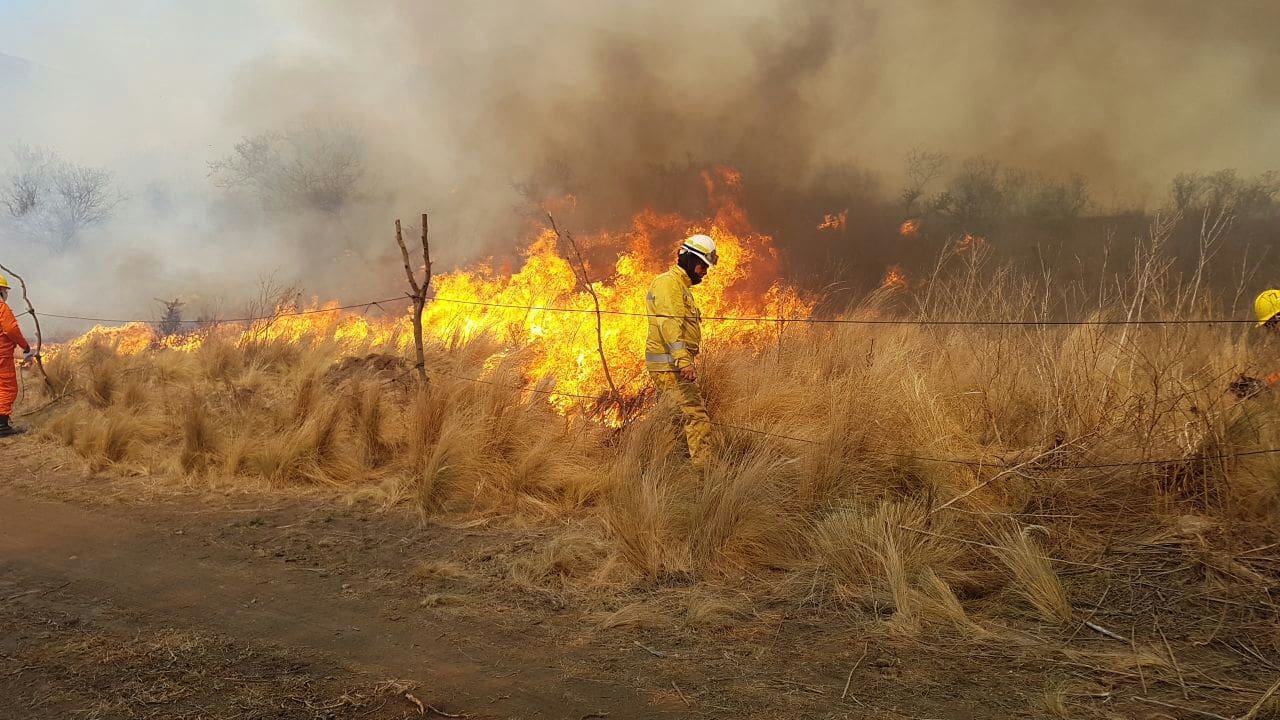 multimedia.grande.ac2bb6438606a45f.576861747341707020496d61676520323031372d30392d30322061742031352e5f6772616e64652e6a706567 - Diario Resumen de la región