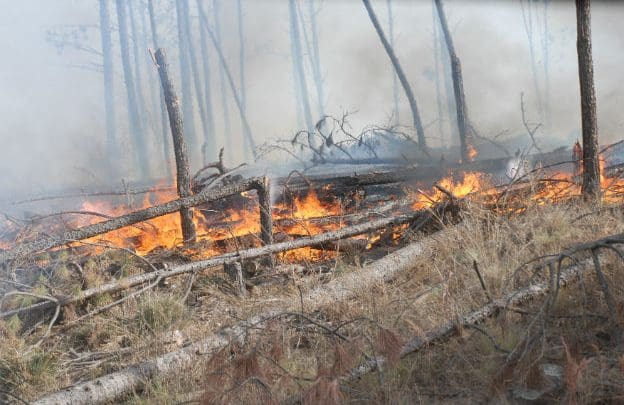 INCENDIO - Diario Resumen de la región