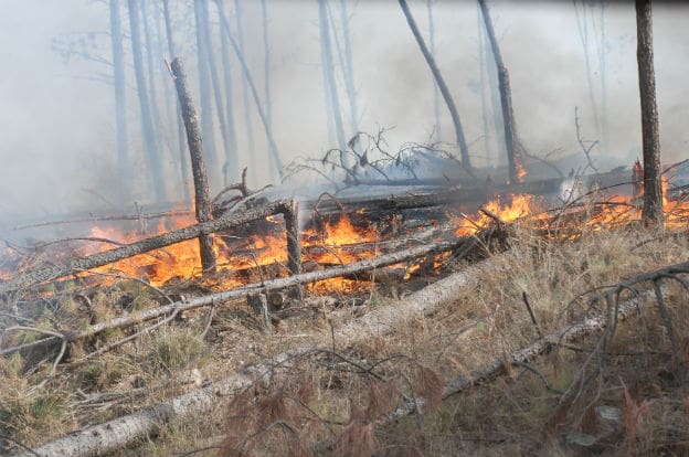INCENDIO - Diario Resumen de la región