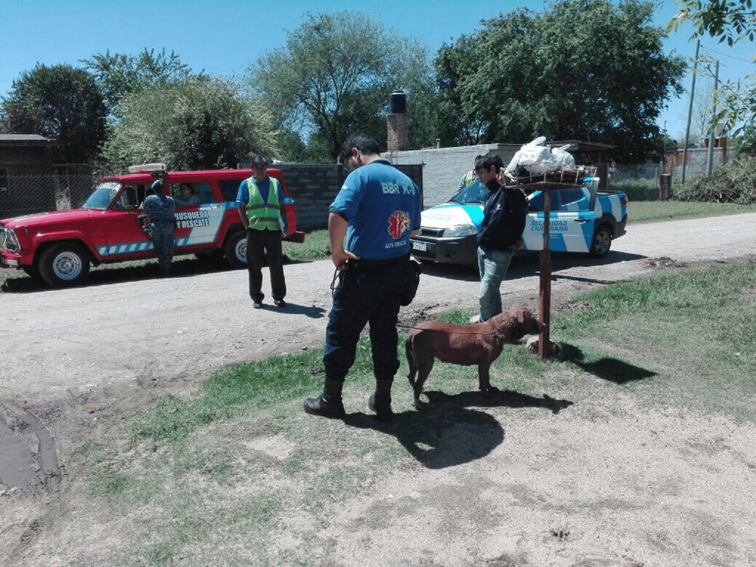 Perro asesino uno - Diario Resumen de la región