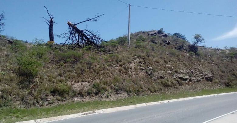 WhatsApp Image 2017 10 07 at 13.23.59 - Diario Resumen de la región