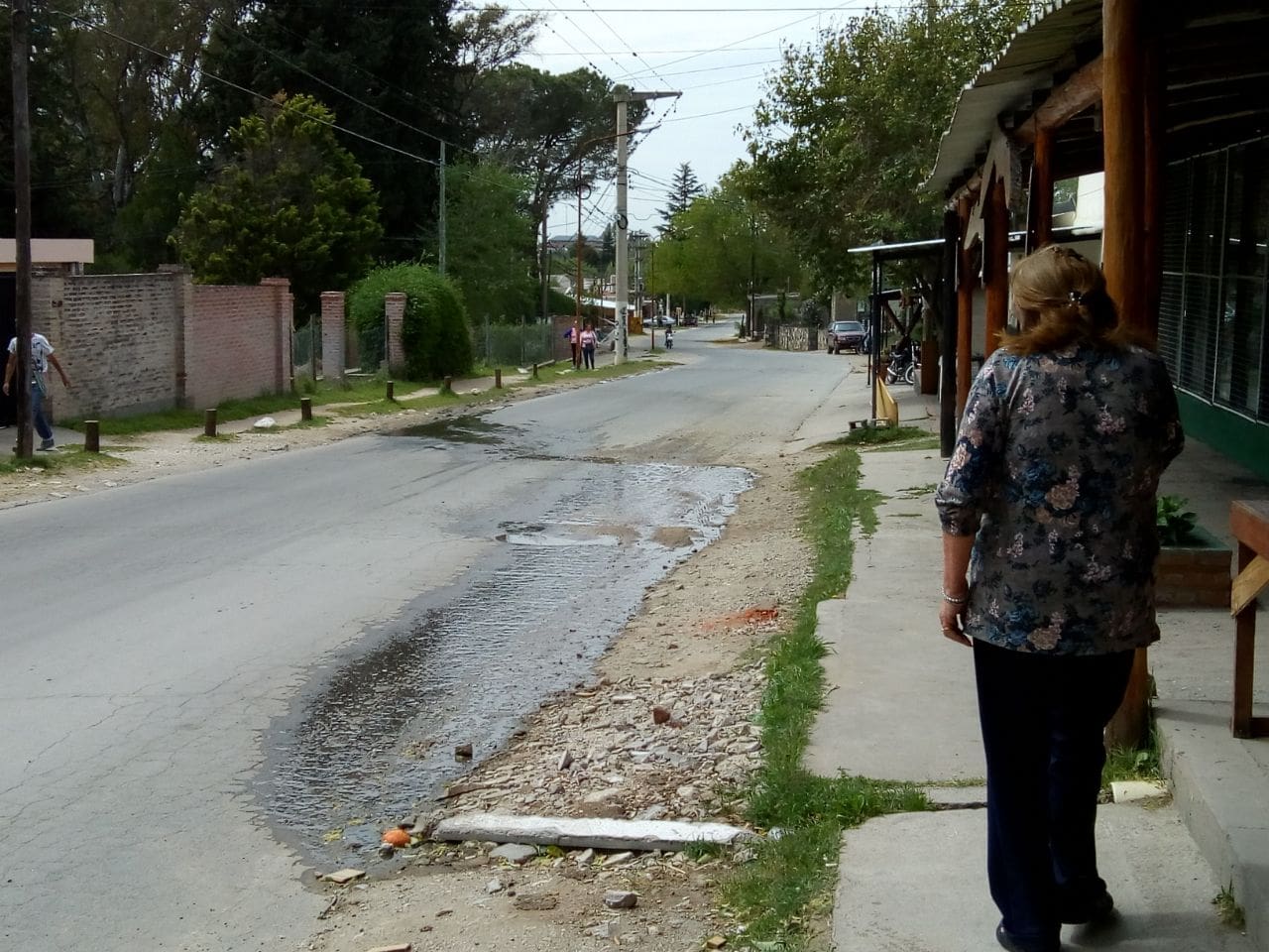 WhatsApp Image 2017 10 09 at 5.00.42 PM - Diario Resumen de la región