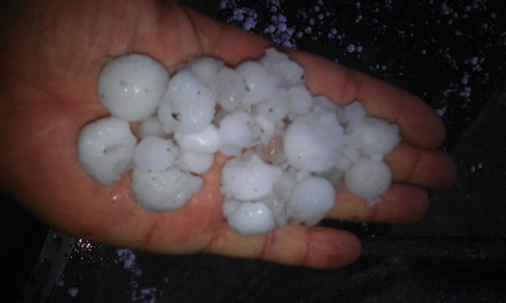 WhatsApp Image 2017 10 31 at 3.47.36 PM - Diario Resumen de la región