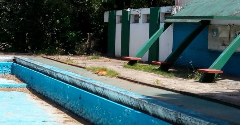 e8a7195f 3f83 497a 922f 4c8a5502306f - Diario Resumen de la región