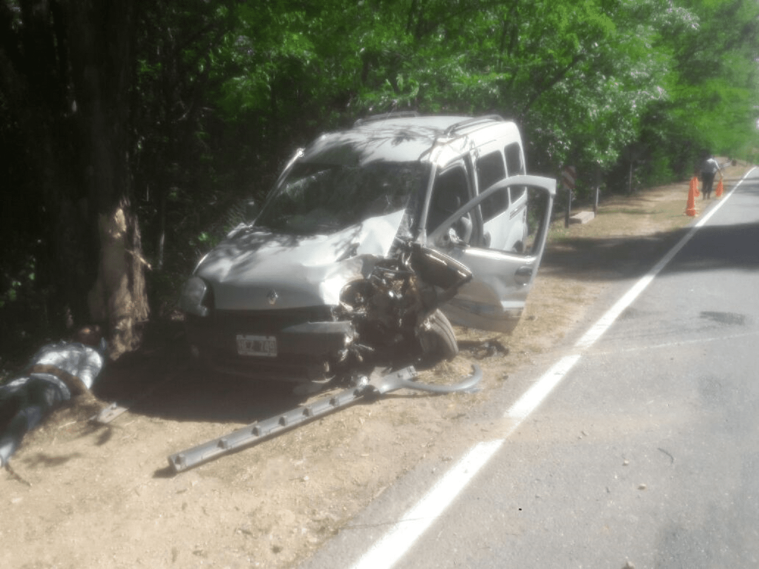 Accidente árbol - Diario Resumen de la región