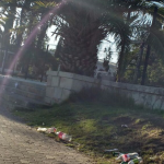 Parque uno - Diario Resumen de la región