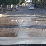 WhatsApp Image 2017 11 01 at 7.41.12 AM 1 - Diario Resumen de la región