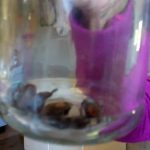 WhatsApp Image 2017 11 05 at 19.08.43 2 - Diario Resumen de la región