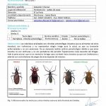 WhatsApp Image 2017 11 09 at 12.23.21 - Diario Resumen de la región